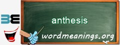 WordMeaning blackboard for anthesis